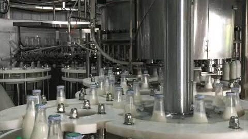 油炸机加盟代理：如何规避风险，选择合适合作伙伴