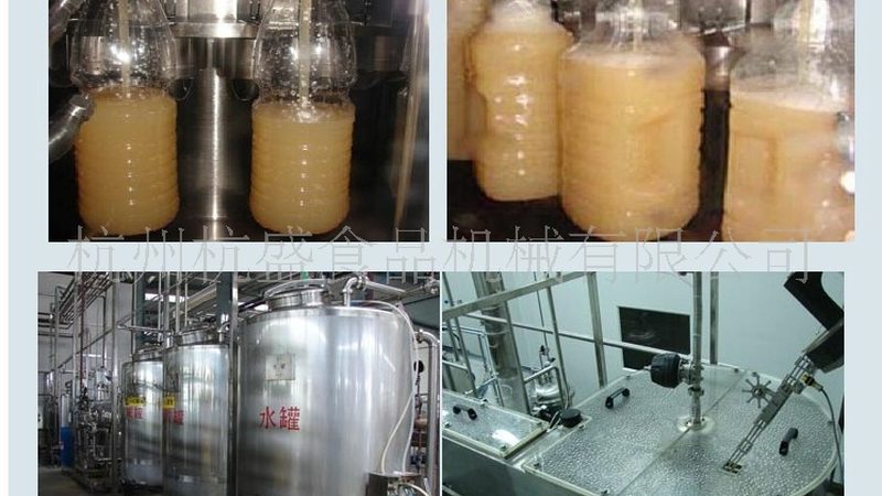 果蔬加工新篇章：揭秘山东果蔬去皮去核机生产技术