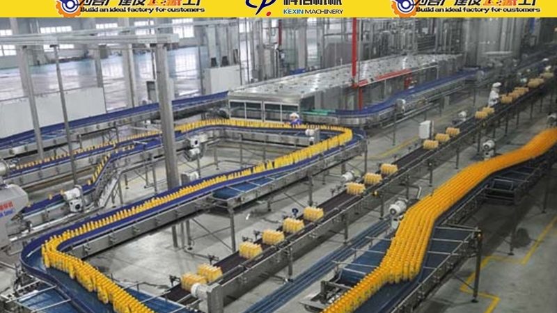 面食机械定制：揭秘其多样化的分类与应用