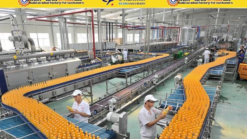 食品输送流水线设备：规格尺寸背后的关键考量